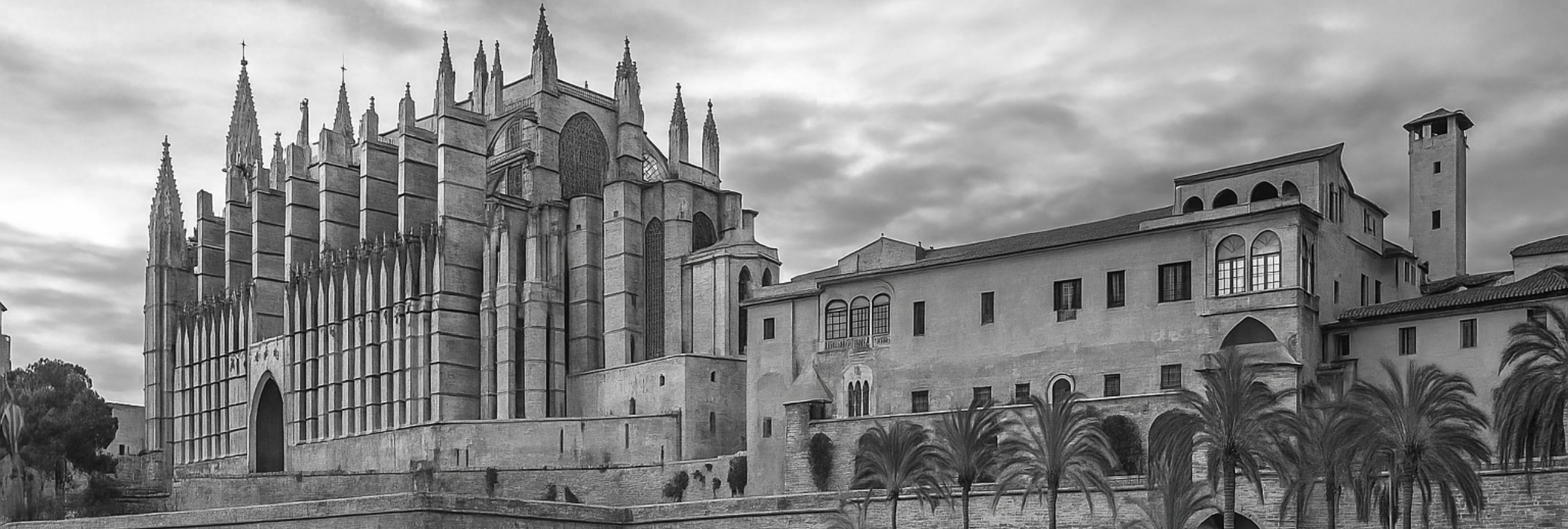 catedral2
